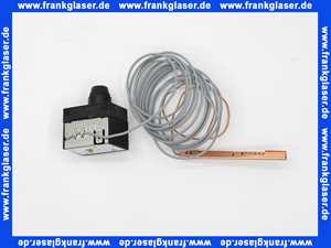 7747022529 Buderus STB 89.13/U/TK,100,3000