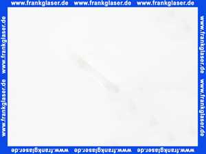 7747026280 Buderus Schauglas D55x5 farblos