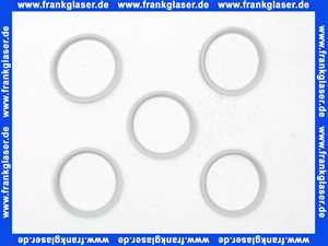 87090510 Buderus Lippendichtung DN80,PerOxyd (5x)