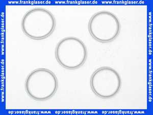 87090510 Buderus Lippendichtung DN80,PerOxyd (5x)