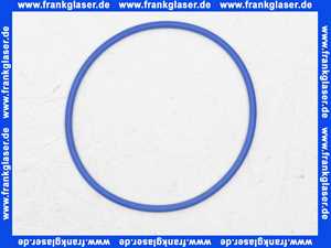 87092012 Buderus Dichtung Dichtring rund DN80 x 3,5 blau a 1 Stück