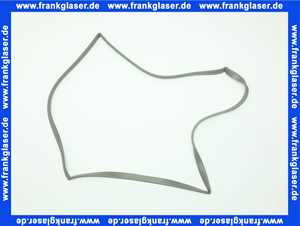 Buderus Dichtung 87160108330