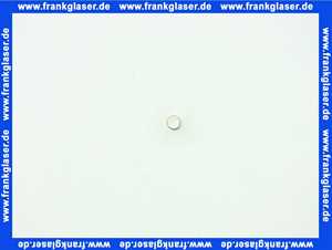 87185706640 Buderus Sicherungseinsatz 230V/10A 5x20mm 1 Stück