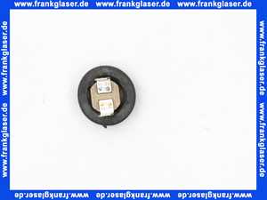 8718600182 Buderus Temperaturbegrenzer C2