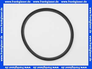 Buderus Lippendichtung D125x8