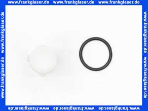 8733702123 Buderus Wassersieb DN20