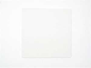 87381190730 Buderus Dichtung Brennerplatte 270x270x10mm