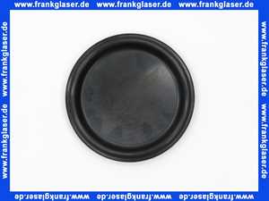 Buderus Dichtung DN 110 8738800668