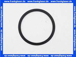 1180870 Bwt Formdichtung EP 116 x 100x 7 KTW