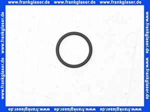 1181544 BWT O-Ring Dichtung Dichtring