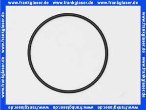 1181585 BWT O-Ring EP70 97X4