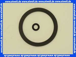 1902345 BWT Dichtungsset für RF / HWS Avanti und Bolero