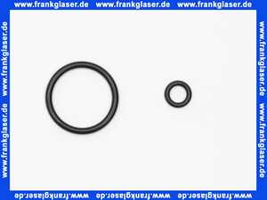45838000 Friedrich Grohe Dichtungsset