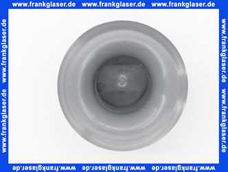 480941 Dallmer Siphon Einsatz und Tasse