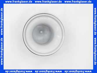 495044 Dallmer Geruchsverschlusseinsatz