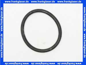 590169 Dallmer O-Ring Dichtung