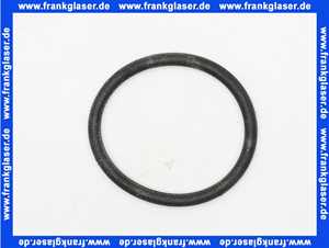 590169 Dallmer O-Ring Dichtung
