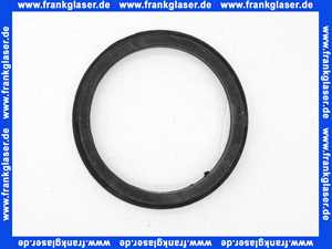 664051 Dallmer Dichtung