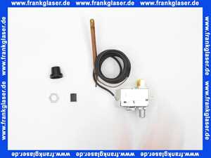 7879901 Dedietrich Sicherheitstemperaturbegrenzer 110°C