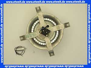 95110365 De Dietrich Gebläse