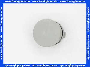 Dehoust Entlüftung Verschlussstopfen mit O-Ring 38x2 62411