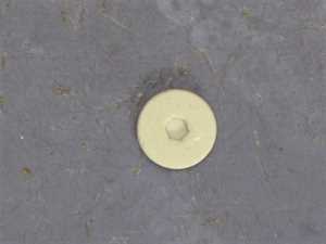 09260101390 Dornbracht Porzellanplaettchen CHAUD