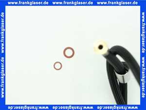 Dornbracht Schlauch mit Konus Ersatzteile 04300205900 1/2 x M15x1 x 1500 mm platin 04300205900-06 (Nachfolgeartikel)