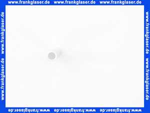 Dornbracht Tauchrohr f.Lotionsp. Ersatzteile 081010499 D. 8 x 1 x 100 mm 08101049990