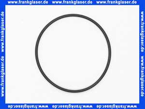Dornbracht O-Ring Ersatzteile 091410023 52,0 x 2,0 mm 09141002390