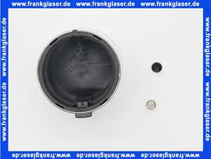 0917330200008 Dornbracht Thermostatgriff Platin