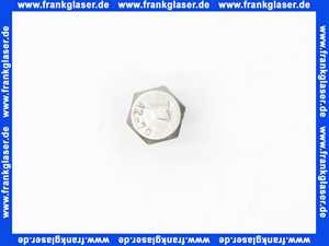 Dornbracht Bef. Sechskantschraube Ersatzteile 093030071 M10 x 20 mm 09303007190