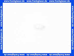 09141502090 Dornbracht Ring Auslauf