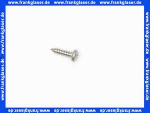 600008 Duscholux Schraube