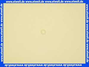 61106 Duscholux Scheibe