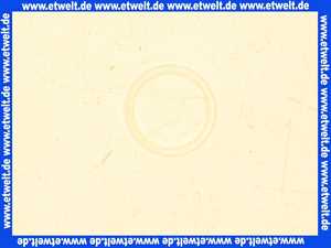 Benkiser 8007047 Dichtung für Verschraubung Lötstück Spülrohr zu WC-Druckspüler