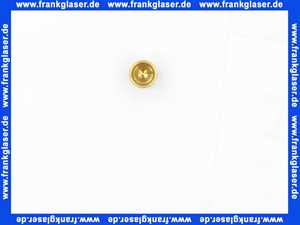 12000282 Elco Zündgasdüse H/L D 0,29-2 messing