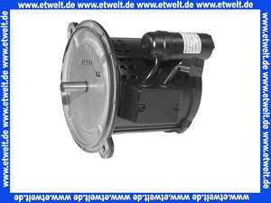 ELCO 12002954 Motor BG 230 / 240 V - 50 Hz - 450 W