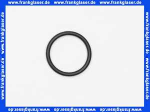 ELCO 12034899 O-Ring D 25,07 x 2,62 für Umwälzpumpe