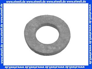 ELCO 12059132 Dichtung Anschluss MAG