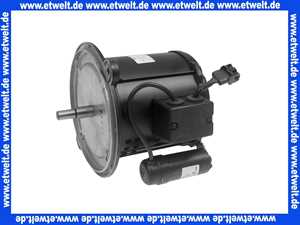 ELCO 13009807 Motor 230 V- 50 Hz - 450 W für Öldruckpum