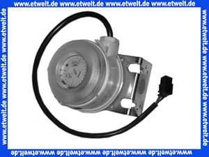 13021613 Elco Luftdruckwächter 604.91