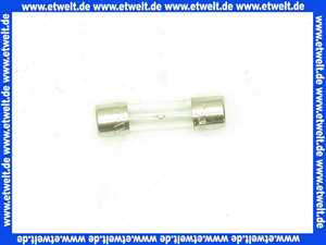 3333550051 Elco Feinsicherung 6.3A traege D5X20