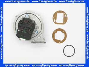 60001869 Elco GEBLAESE