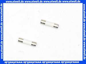 64201792 Elco Sicherungen 2 Stück T6.3A H 250V F?R LMS