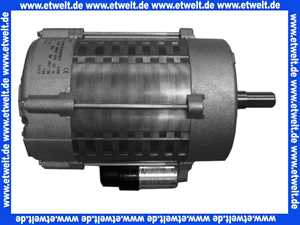 65300520 ELCO Motor 230 V - 50 Hz - 250 W EB95C80/2