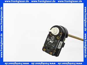 697109 Elco Thermostat