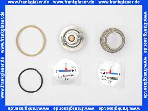 17006800 ESBE Einsatz TV 60 Grad Komplett