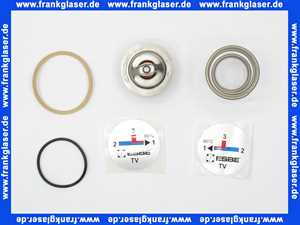 17006800 ESBE Einsatz TV 60 Grad Komplett