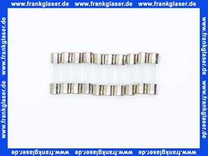 Feinsicherung träge 1 A 1 Beutel 10 Stück 6,3 x 32 mm