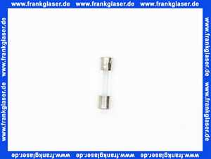 Feinsicherung träge 1 A 1 Beutel 10 Stück 6,3 x 32 mm